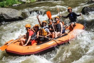 Bali: Ayung River Guided Rafting Adventure with Lunch
