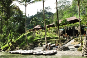 Bali: Ayung River Premium White Water Rafting with Lunch