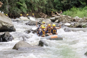 Bali: Ayung River Premium White Water Rafting med lunsj