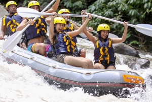 Bali: Ayung River Premium White Water Rafting med lunsj