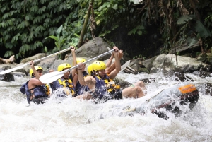 Bali: Ayung River Premium White Water Rafting med lunsj