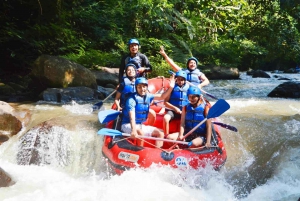 Bali: Ayung River Rafting and Swing Adventure with Lunch