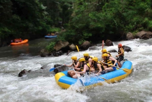 Bali: Ayung River Rafting and Swing Adventure with Lunch