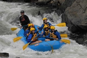Bali: Ayung River Rafting & Jungle Swing Tour with Transfer