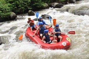 Bali Ayung River Rafting - Aventure de rafting en eaux vives