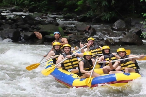 Bali: Ayung River Rafting with ATV Ride