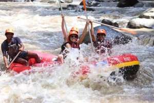 Bali: Ayung River Rafting with Buffet Lunch and Hotel Pickup