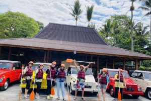 Bali: Ayung River Rafting with Buffet Lunch and Hotel Pickup