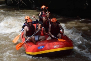 Bali: Ayung River Rafting with Buffet Lunch and Hotel Pickup