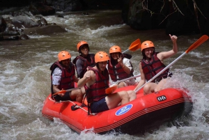 Bali: Ayung River Rafting with Buffet Lunch and Hotel Pickup