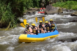 Bali: Aventura de rafting em águas brancas no rio Ayung