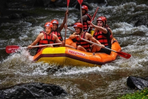 Bali: Aventura de rafting em águas brancas no rio Ayung