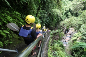 Bali: Ayung River White Water Rafting with Lunch