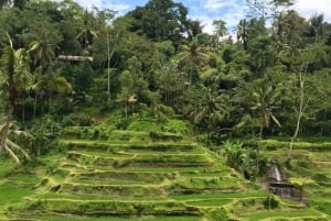 Bali: Bali Insta Journey Privétour (All-Inclusive)