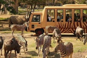 Bali: Dagsutflukt til Bali Safari Park med inngang og transport
