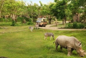 Bali: Dagsutflukt til Bali Safari Park med inngang og transport