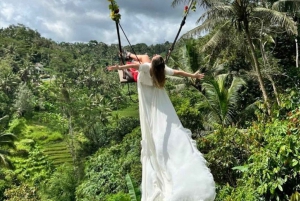 Bali: Bali Swing, apeskog, risterrasse, fossefall