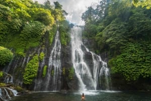 Bali: Banyumala-Wasserfall, Unesco-Welterbe, Tempel