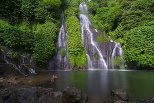 Bali: Banyumala vattenfall, Unesco världsarv, tempel