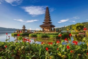 Bali: Banyumala vattenfall, Unesco världsarv, tempel