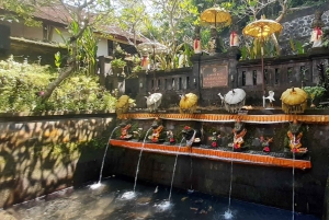 Bali: Tour della Danza Barong e del Tempio dell'Acqua Santa con trasferimento