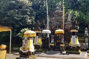 Bali: Tour della Danza Barong e del Tempio dell'Acqua Santa con trasferimento