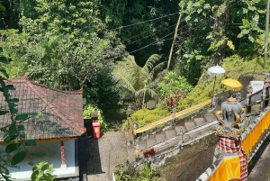Bali: Tour della Danza Barong e del Tempio dell'Acqua Santa con trasferimento