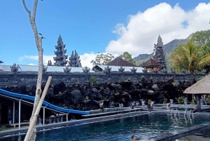 Bali: Batur Natuurlijke Hete Bron Entree Ticket