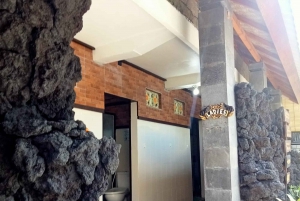Bali: Bilhete de entrada para as fontes termais naturais de Batur