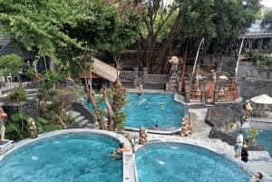 Bali: Inngangsbillett til Batur Natural Hot Spring
