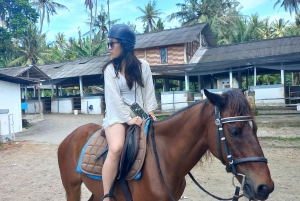 Bali : Beach Horse Riding Experience & Hidden Waterfall