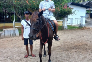 Bali : Beach Horse Riding Experience & Hidden Waterfall
