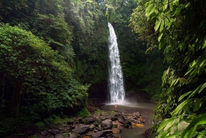 Bali: Bedugul Cultural & Nature Discovery Full Day Tour