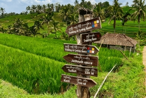 Bali: Bedugul Cultural & Nature Discovery Full Day Tour