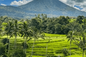 Bali: Bedugul Cultural & Nature Discovery Full Day Tour