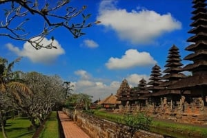 Bali: Bedugul, Jatiluwih, Taman ayun, Tanah lot private tour