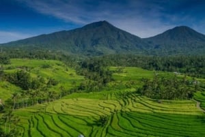 Bali: Bedugul, Jatiluwih, Taman ayun, Tanah lot private tour