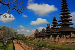 Bali : Bedugul, Jatiluwih, Taman ayun, Tanah lot visite privée