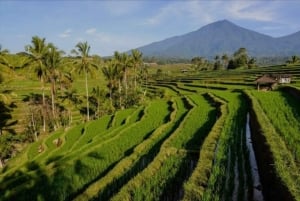 Bali : Bedugul, Jatiluwih, Taman ayun, Tanah lot visite privée