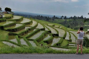 Bali : Bedugul, Jatiluwih, Taman ayun, Tanah lot visite privée