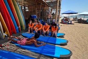Bali: Surfing for begyndere og øvede i Canggu