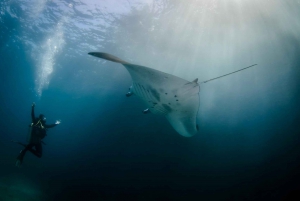 Bali Benoa: Lembongan Day Cruise, BBQ, Kayak & Optional Dive