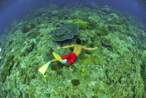 Bali Benoa: Lembongan Reef & Water Activities Day Cruise