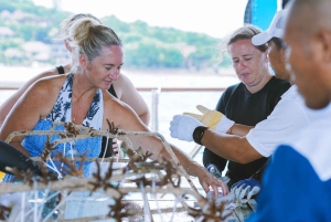 Bali Benoa: Lembongan Rif & Wateractiviteiten Dagcruise