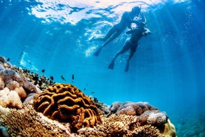 Bali Benoa: Lembongan Rif & Wateractiviteiten Dagcruise