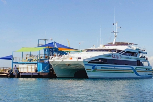 Bali Benoa: Lembongan Rif & Wateractiviteiten Dagcruise