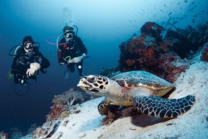 Bali Benoa: Lembongan Rif & Wateractiviteiten Dagcruise