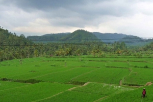Bali: Beratan Temple, Jatiluwih, & Handara Heaven Gate Tour