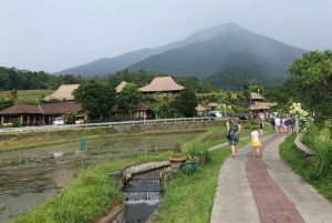Bali: Beratan Temple, Jatiluwih, & Handara Heaven Gate Tour