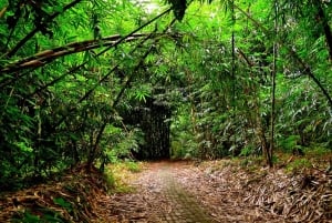 Bali: Besakih Great Temple & Penglipuran Village Day Tour